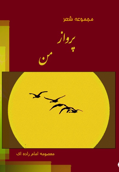 پرواز من